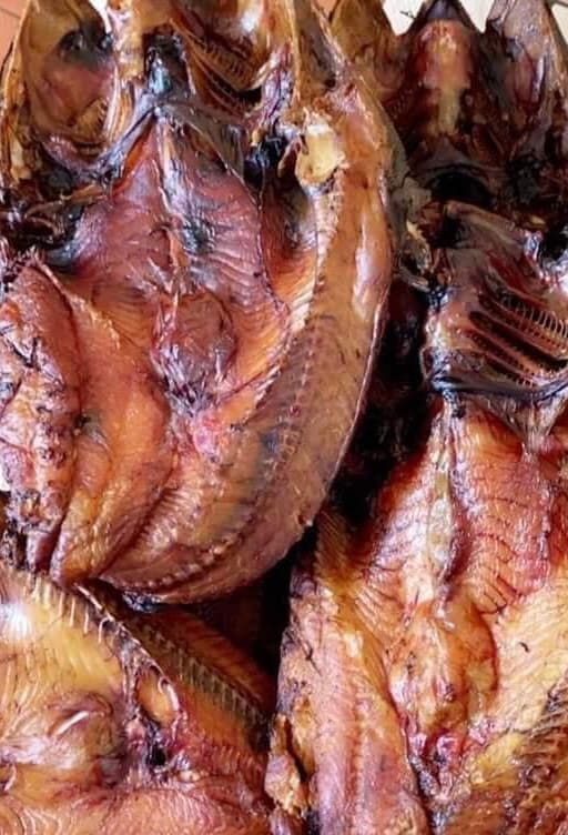 Poisson konkoé