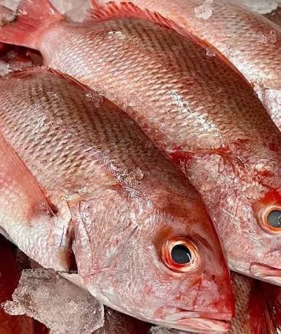 Poisson Sinapa 1kg