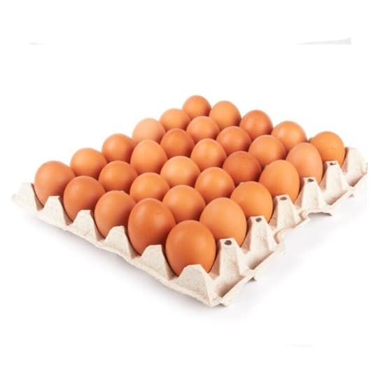Casier œuf