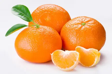 Mandarine