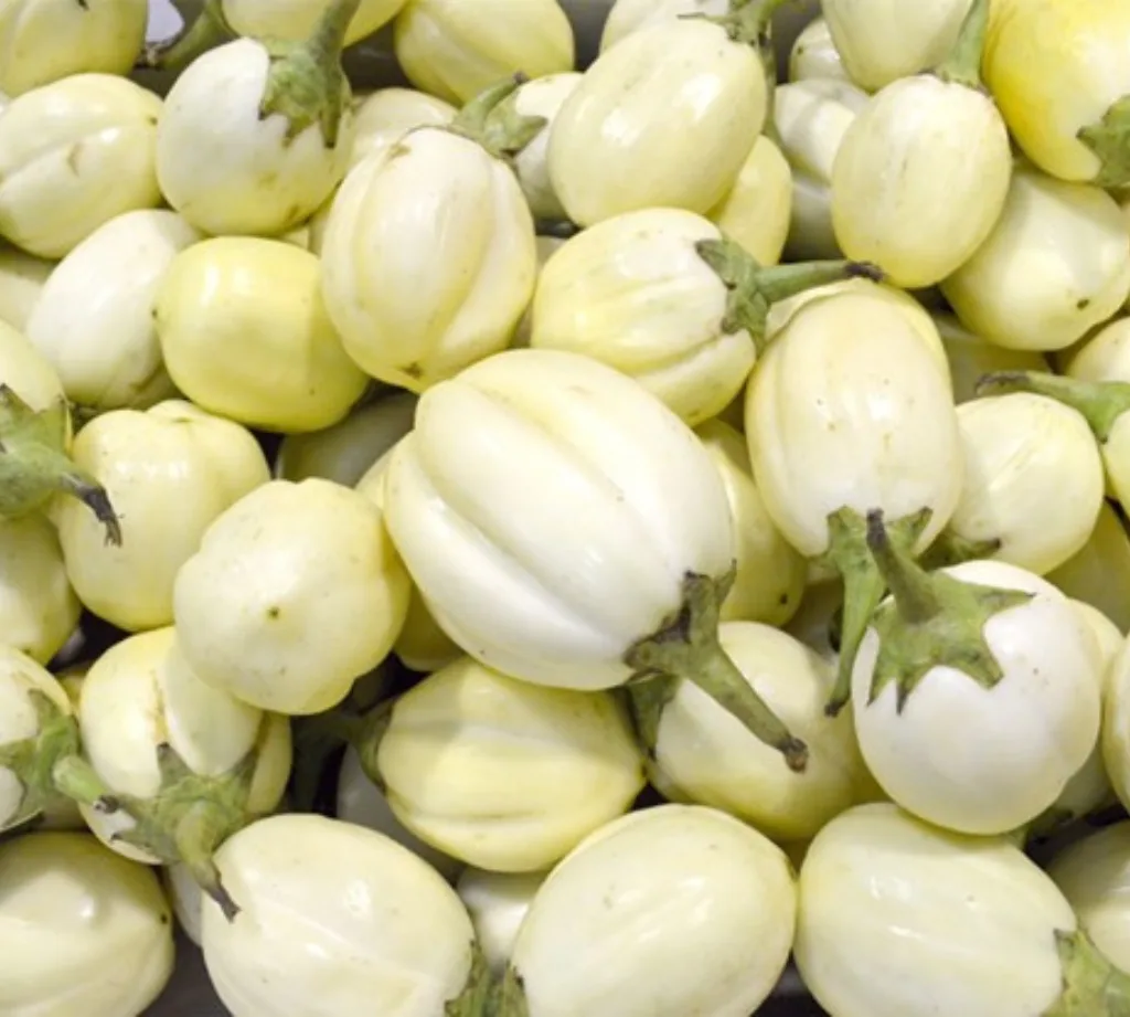 Obergine blanche 1kg