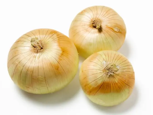 Oignon 1kg