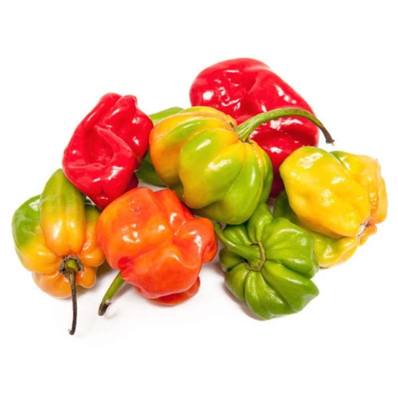 Piment frais - 1kg