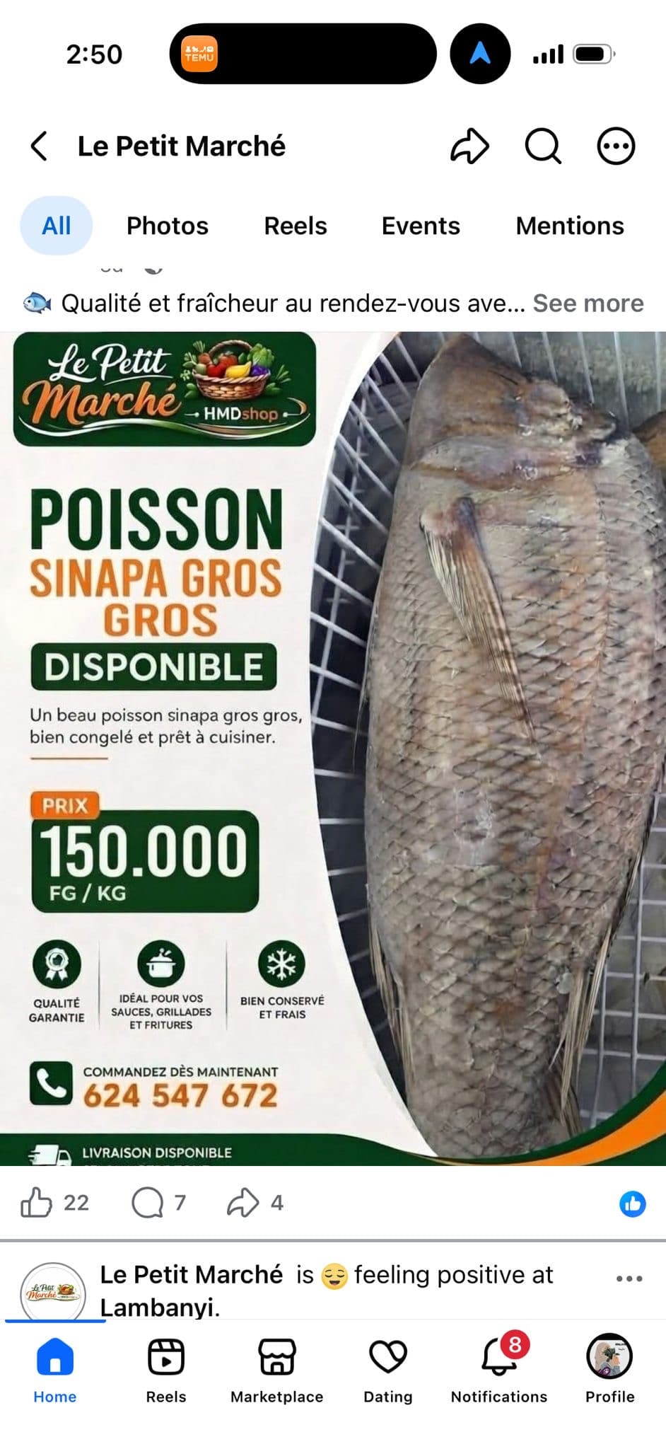 Poisson Sinapa gros 1 unité