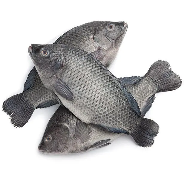 Poisson Tilapia 1kg